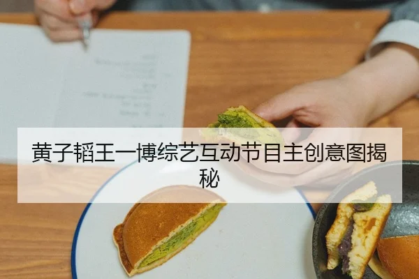 黄子韬王一博综艺互动节目主创意图揭秘